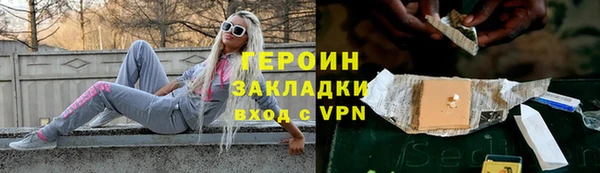 гашик Болотное