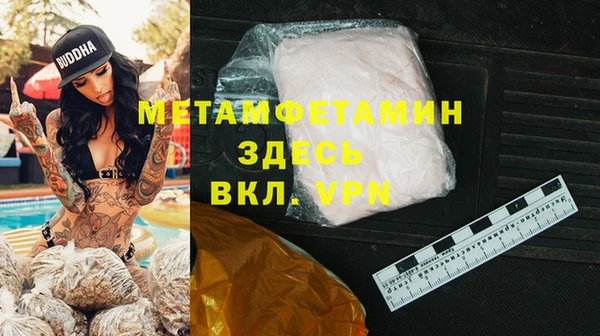 гашик Болотное