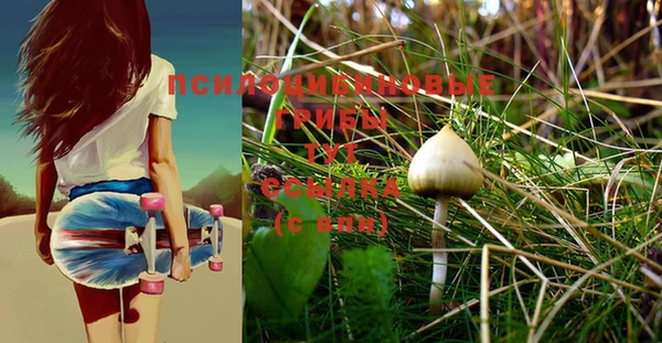 PSILOCYBIN Навашино
