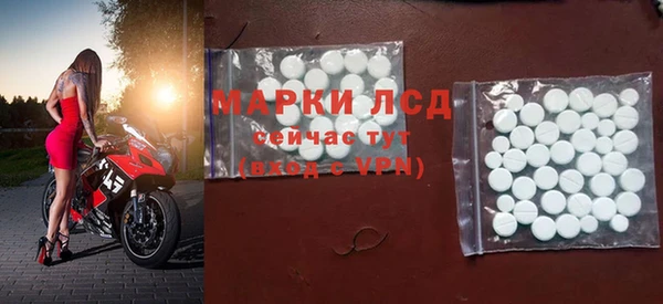 гашик Болотное