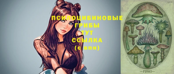 PSILOCYBIN Навашино
